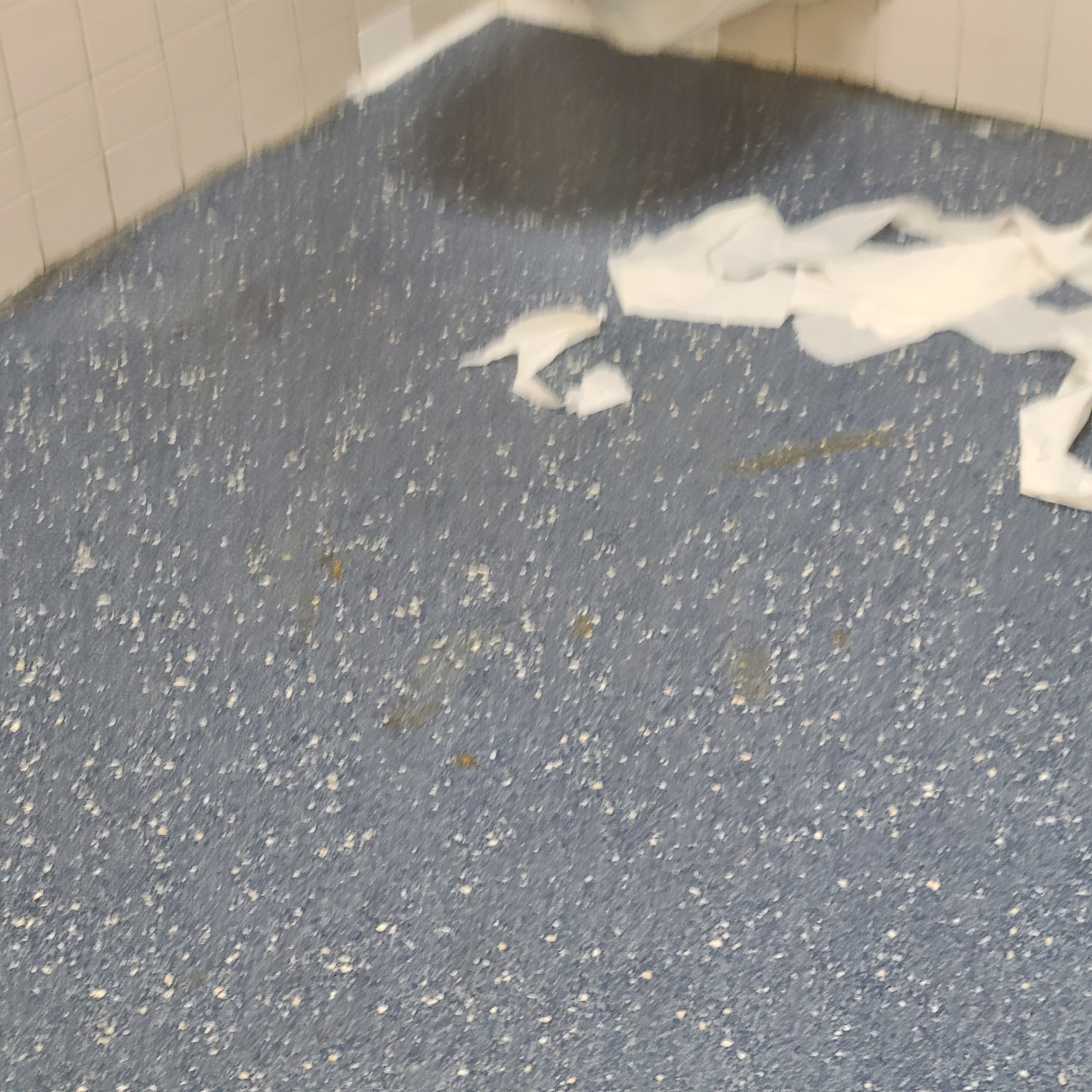 Human waste all over the woman's bathroom floor.