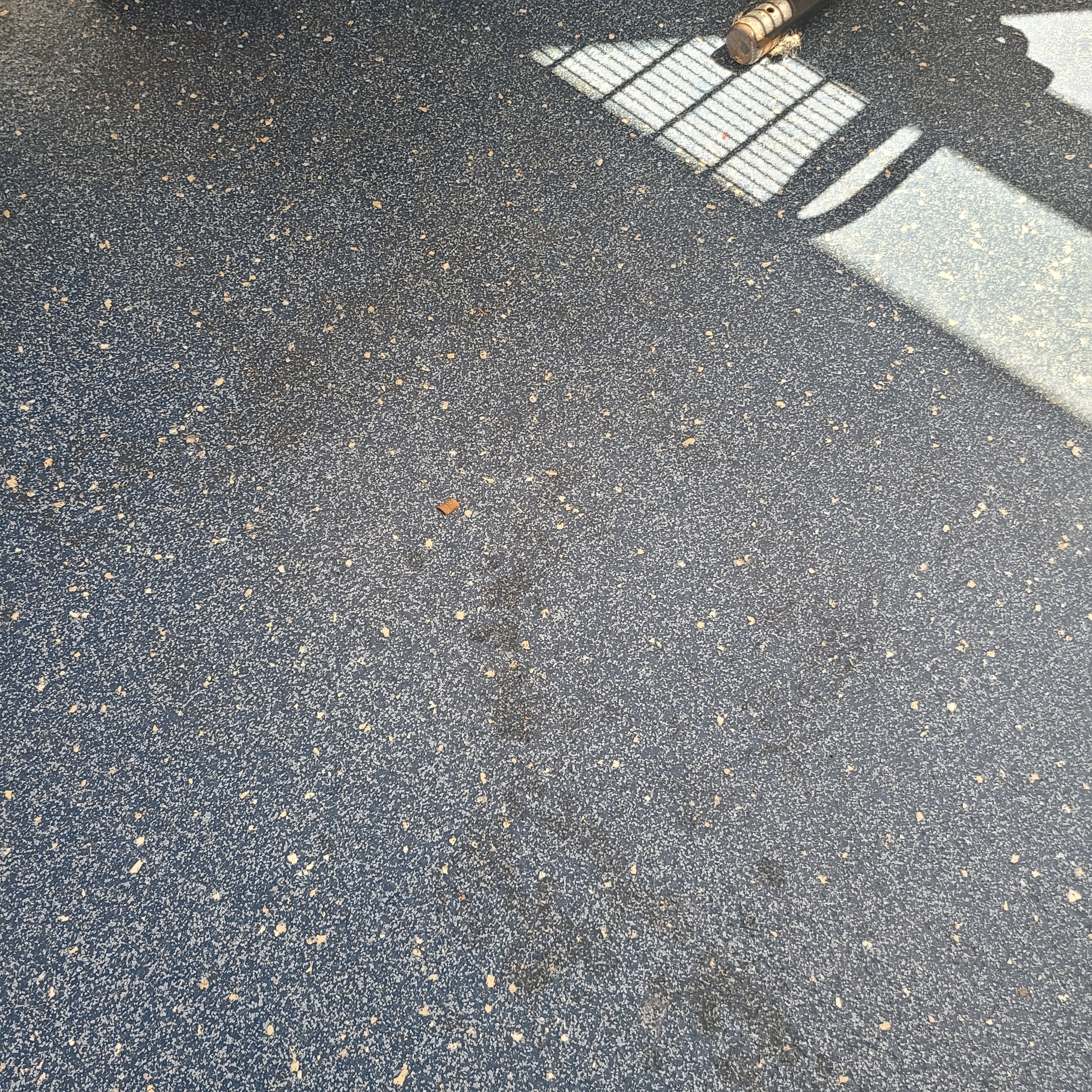 Hallway outside café seating area, in-between the cafe area and the MART offices. This is weeks of dirt and grime built up on the floor.